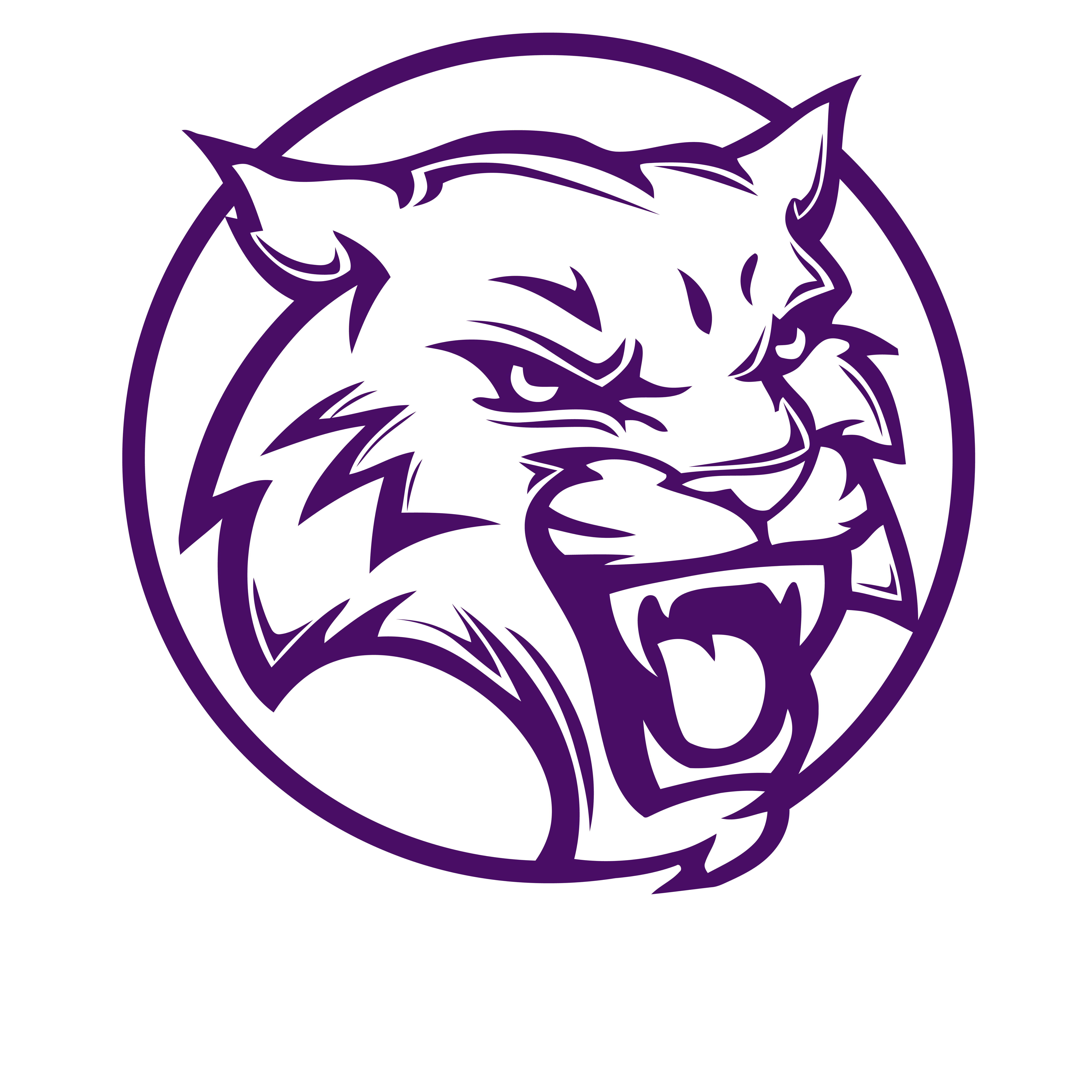 Team Logo